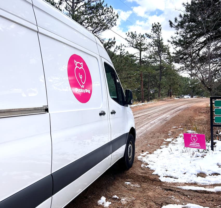 A pink Picky Pig-branded Small Haul van on a snowy dirt road